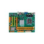 Placa Mãe BIOSTAR Intel LGA 775 mATX G31-M7 DDR2
